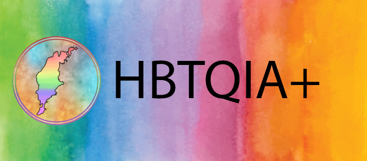 HBTQIA+ banner